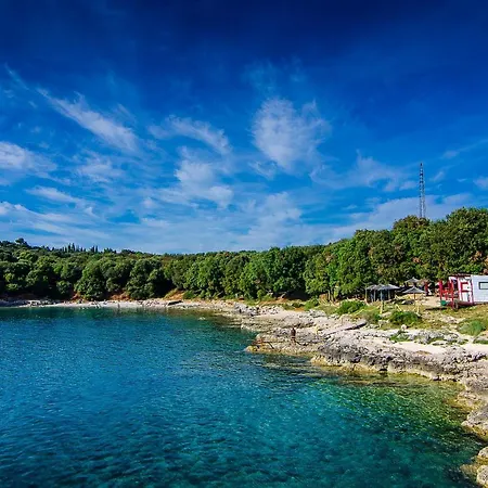 Lovely House With Garden Near Centre *